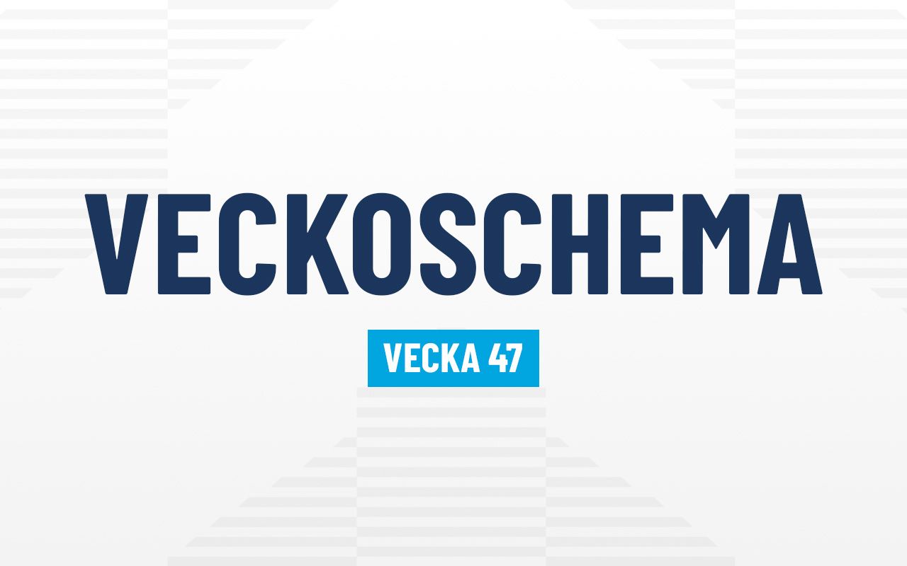 VECKOSCHEMA FÖR VÅRA REPRESENTATIONS- OCH AKADEMILAG V.47